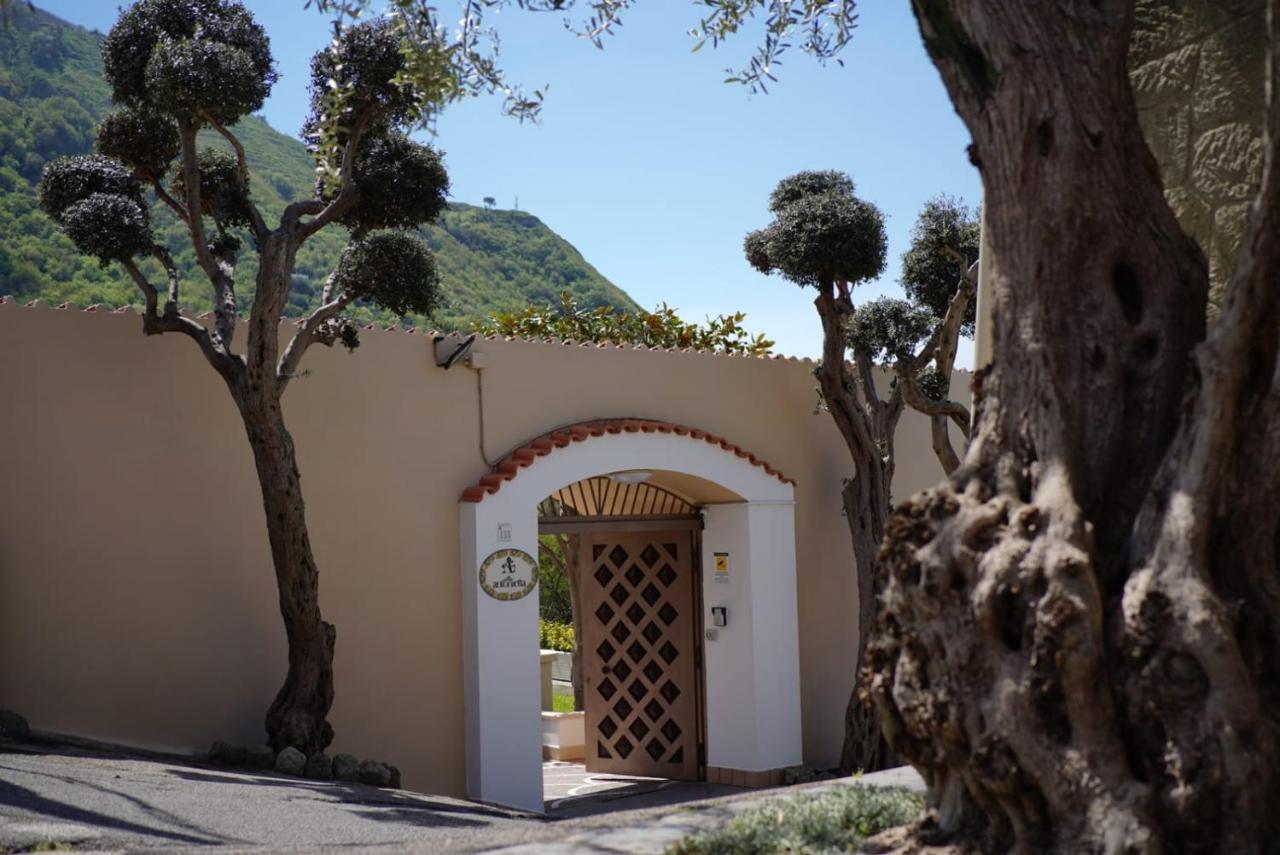 Villa Antonietta Ischia Extérieur photo