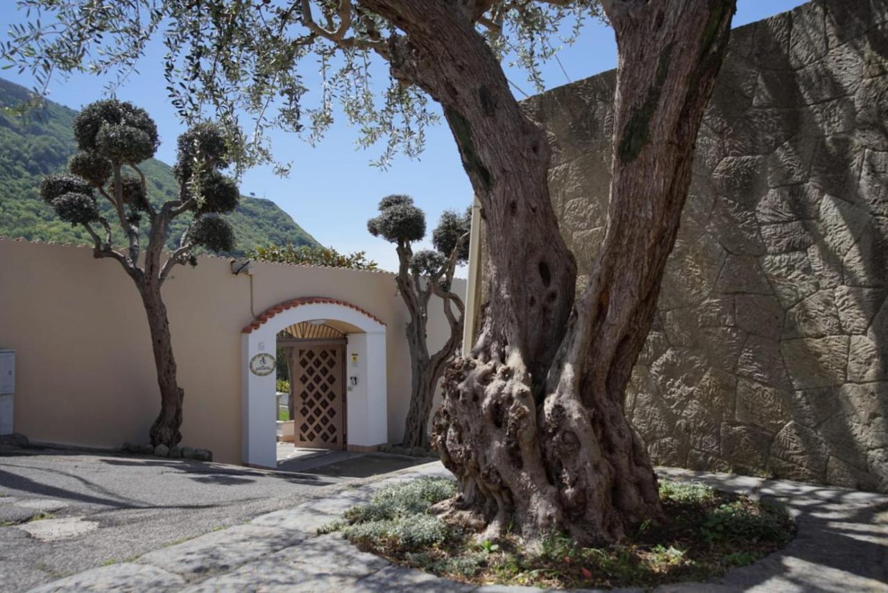 Villa Antonietta Ischia Extérieur photo