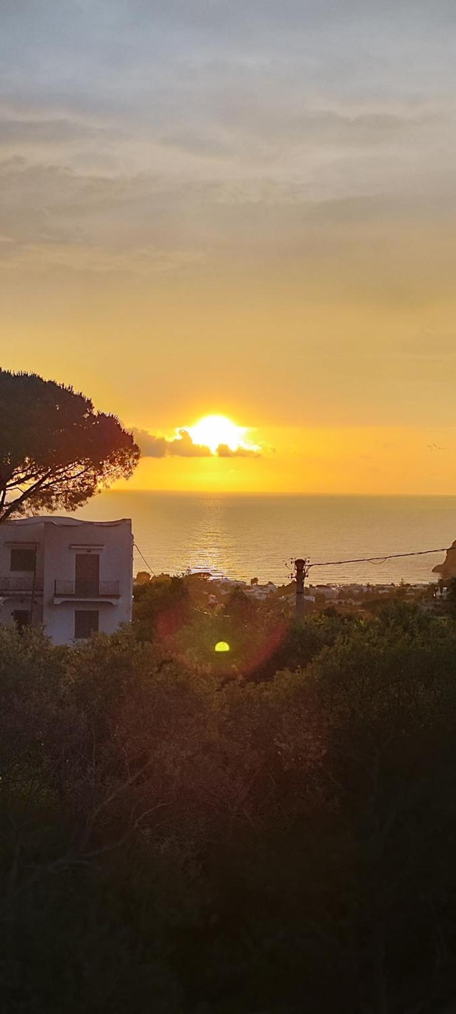 Villa Antonietta Ischia Extérieur photo