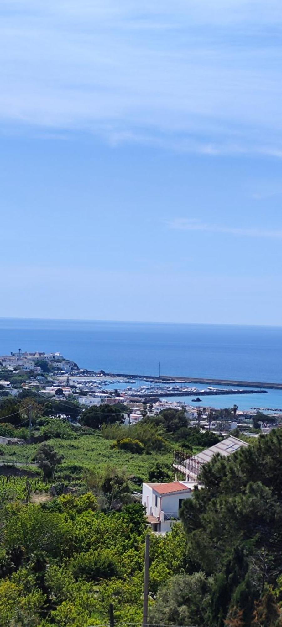 Villa Antonietta Ischia Extérieur photo